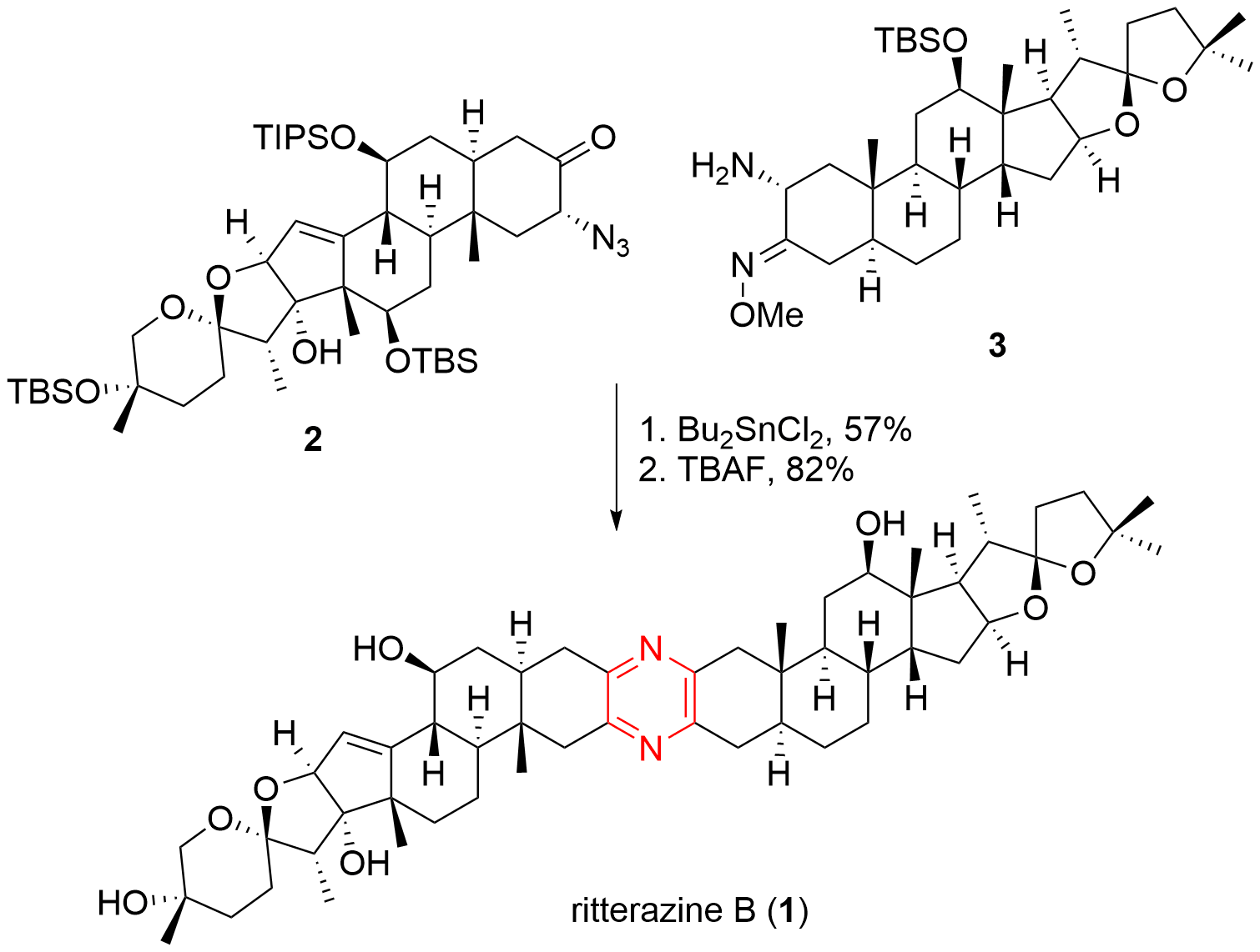 ritterazine-5.png