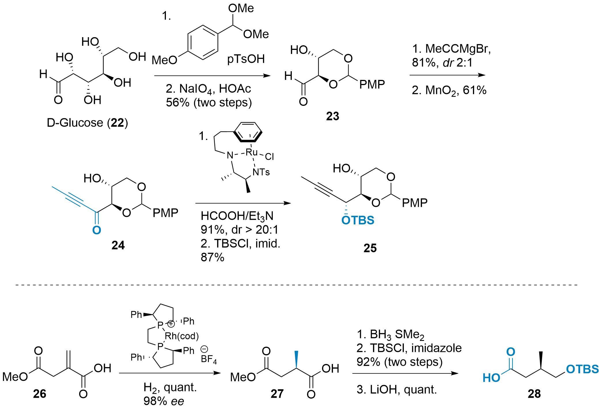 prorocentin-4.png